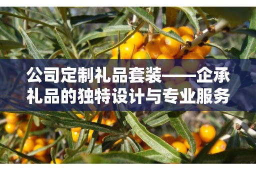 公司定制礼品套装——企承礼品的独特设计与专业服务
